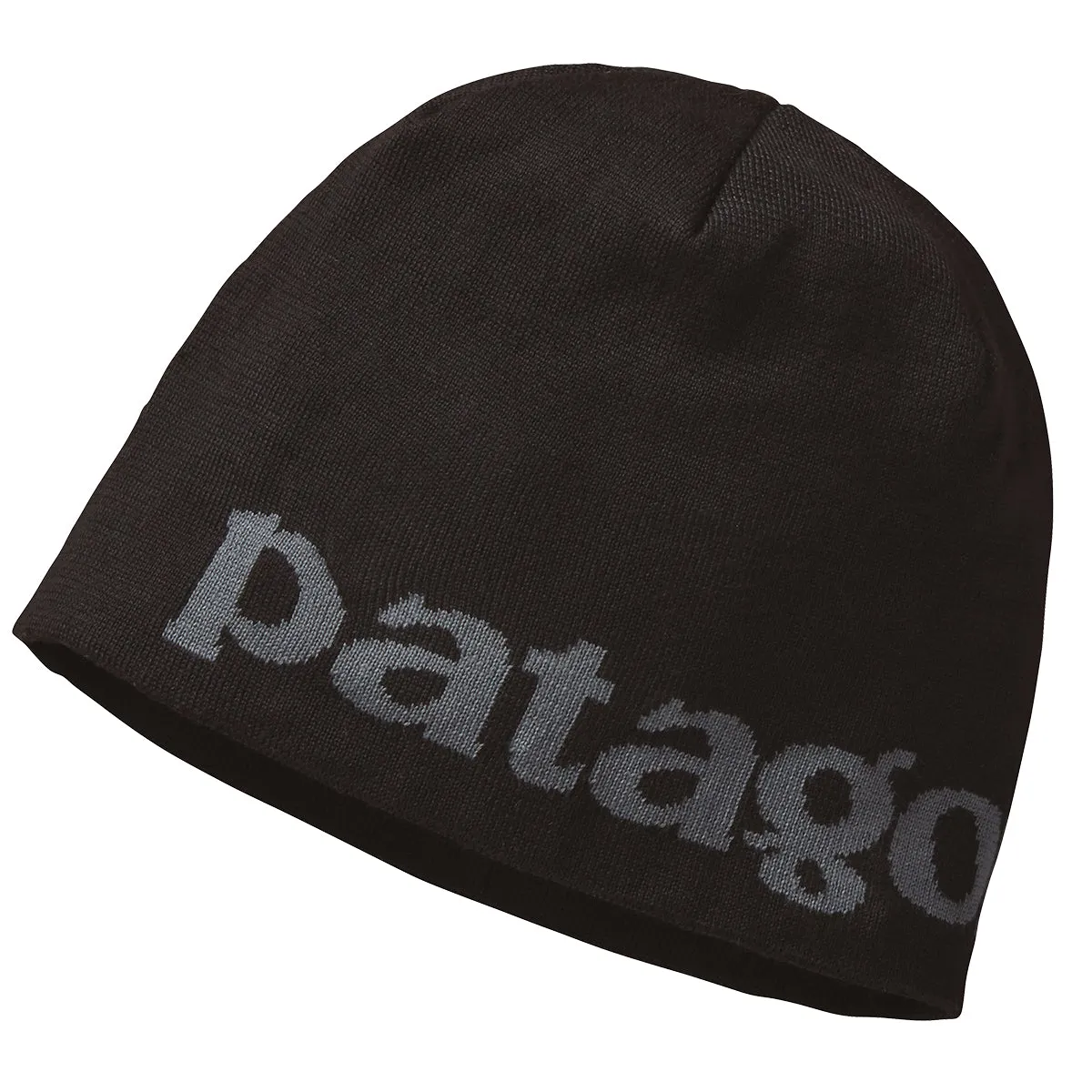 Patagonia Beanie Hat